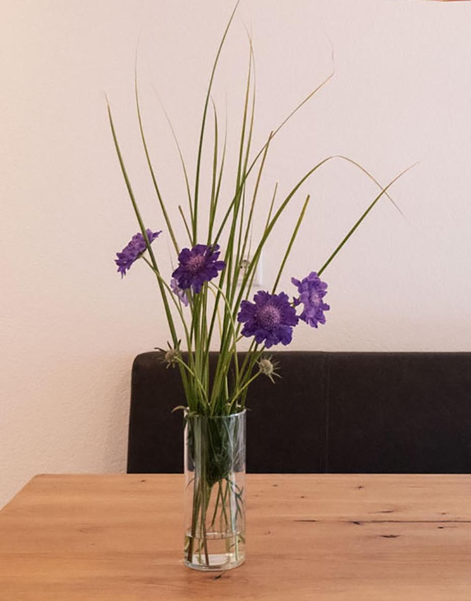 Landhaus 达米尔斯 外观 照片
